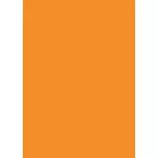 Папір для дизайну Tintedpaper А4 (21*29,7см), №17 охра, 130г/м2, без текстури, Folia