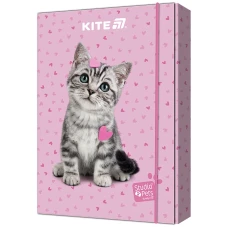 Папка для зошитів В5 на гумці картон, Studio Pets SP25-210 Kite