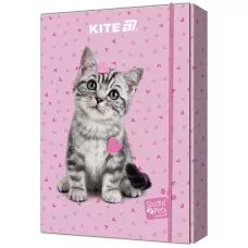 Папка для зошитів В5 на гумці картон, Studio Pets SP25-210 Kite