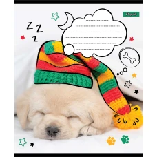 Зошит А5/24 арк лінія 1В Sweet dreams, 765905