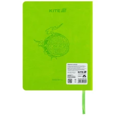 Щоденник шкільний, тверда обкл. PU, Ninja Turtles NT25-264 Kite