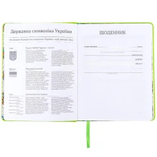 Щоденник шкільний, тверда обкл. PU, Ninja Turtles NT25-264 Kite