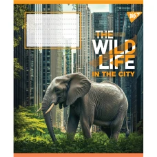 Зошит А5/36 арк кліт YES The wild in the city, 767766