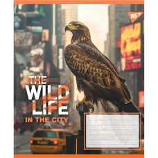 Зошит А5/36 арк кліт YES The wild in the city, 767766
