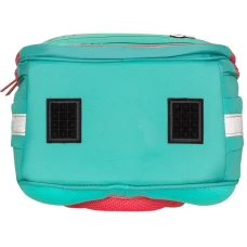 Ранець SchoolCase Mini 2 відділення, 35х27х16см, поліестер, "Kittens", 2504C Class