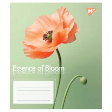 Зошит А5/18 арк лінія YES Essence of Bloom, 767716