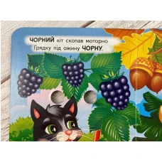 Цікаві книжки з оченятами. Кольори. Знайомимо малечу з навколишнім світом. 10 с. картон, Пегас