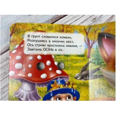 Цікаві книжки з оченятами. Пори року. Знайомимо малечу з навколишнім світом. 10 с. картон, Пегас