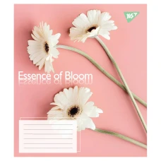 Зошит А5/24 арк лінія YES Essence of Bloom, 767718