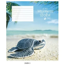 Зошит 12 аркушiв коса, Star