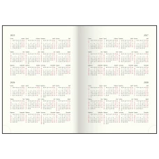 Щоденник датов. 2026 EPOS, A5, чорний, штуч. шкіра/поролон, BM.2149-01