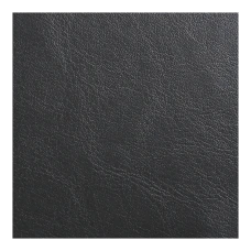 Щоденник датов. 2026 EPOS, A5, чорний, штуч. шкіра/поролон, BM.2149-01
