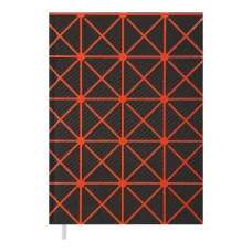 Щоденник недатований LINEA, A5, помаранчевий, BM.2043-11