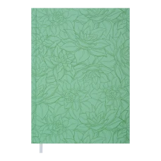 Щоденник недатований VINTAGE, A5, м'ятний, BM.2047-38
