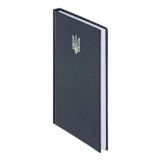 Щоденник недатований AIRY, A5, синій, бумвініл, 336 стор, BM.20731-02