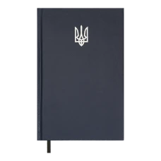 Щоденник недатований AIRY, A5, синій, бумвініл, 336 стор, BM.20731-02