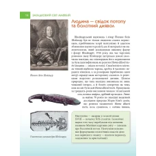 Енциклопедія для допитливих. Загадковий світ АМФІБІЙі. Гапченко А.В. 96 с. Талант