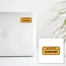Наліпки 3D-стікер "Introvert" SX-322 Tattooshka