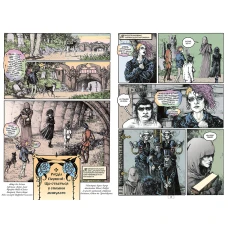 Комікси DC та Vertigo. The Sandman. Пісочний Чоловік. Книга 10. Поминання. Ґейман Н. 224 с. Рідна мова