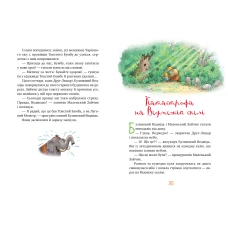 Шедеври дитячої літератури. Казки Чарівного лісу. Валько 176 с. Рідна мова