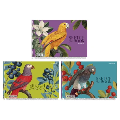 Альбом для малювання, спiраль, 30арк., 100г/м2, УФ-лак, PB-SC-030-8529 Star