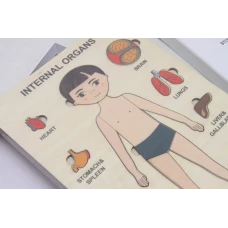 Пазли навчальні Internal Organs Strateg 30349