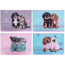 Зошит для малювання, 24 арк., скоба, софт-тач, Studio Pets SP21-242 Kite
