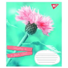 Зошит А5/96 арк лінія 1В Summer flowers, 766130