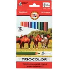 Олівці кольорові Triocolor Jumbo 