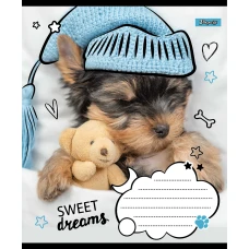 Зошит А5/24 арк лінія 1В Sweet dreams, 765905