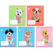 Зошит 12 арк., лінія, софт тач + УФ лак, Studio Pets SP22-234 Kite