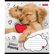 Зошит А5/24 арк лінія 1В Sweet dreams, 765905