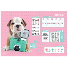 Підкладка настільна, 42,5*29см. PP Studio Pets SP22-207-02 Kite