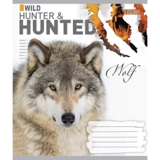 Зошит А5/24 арк лінія 1В Hunted, 765901