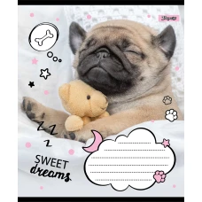 Зошит А5/24 арк лінія 1В Sweet dreams, 765905