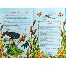 Веселка. Казкові перлини (папiр офсетний), 60x90 1/16 64 ст. Белкар-книга