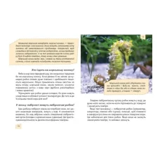 Енциклопедія для допитливих. Домашнi улюбленцi Тетельман Г.С. 96 с. Талант