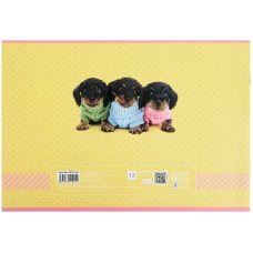 Зошит для малювання, 12 арк., скоба, софт тач + УФ лак, Studio Pets SP22-241 Kite