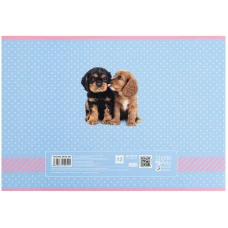 Зошит для малювання, 12 арк., скоба, софт тач + УФ лак, Studio Pets SP22-241 Kite