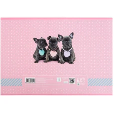 Зошит для малювання, 12 арк., скоба, софт тач + УФ лак, Studio Pets SP22-241 Kite