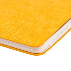 Щотижневик 10х15см дата Leo Planner в асортименті