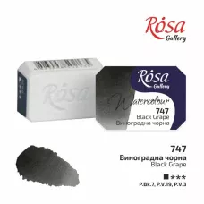 Фарба акварельна, Виноградна чорна (747), 2,5мл, ROSA Gallery