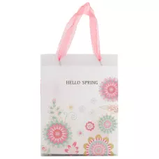 Пакет пластиковий подарунковий 25х19см, Hello Spring 02, 8503-09-A
