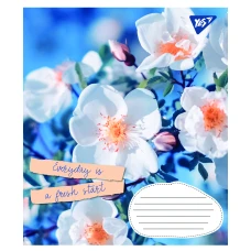 Зошит А5/96 арк лінія 1В Summer flowers, 766130