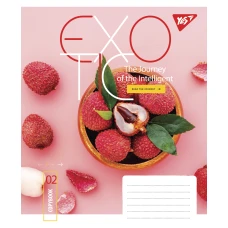 Зошит А5/96 арк лінія YES Exotic, 766128