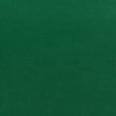 Фетр Santi м'який, темно-зелений, 21*30см (ціна за 1шт.) 740456