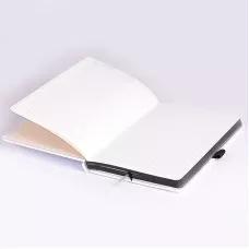 Книга записна Компаньйон, А5, клітинка, білий, 105592805 Brunnen