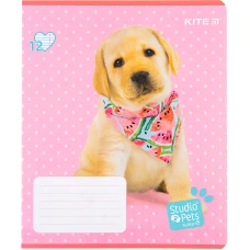 Зошит 12 арк., лінія, софт тач + УФ лак, Studio Pets SP22-234 Kite