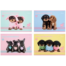 Зошит для малювання, 12 арк., скоба, софт тач + УФ лак, Studio Pets SP22-241 Kite