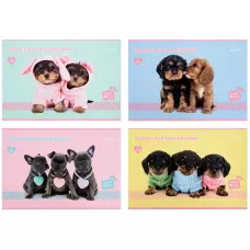Зошит для малювання, 12 арк., скоба, софт тач + УФ лак, Studio Pets SP22-241 Kite